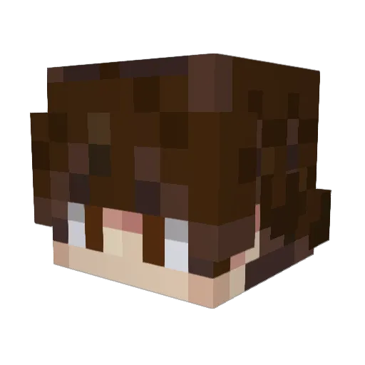 Xilef29 Minecraft avatar head, 3D render