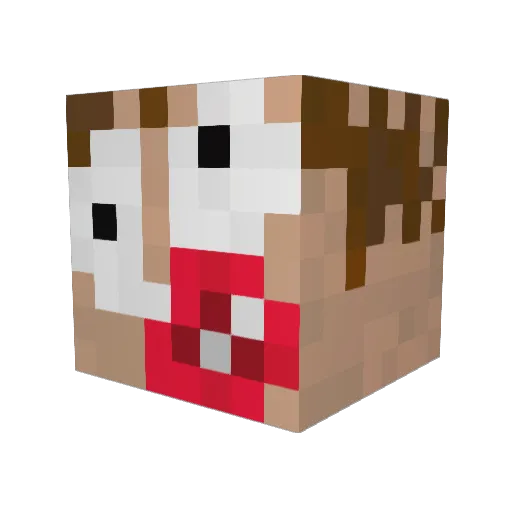XiliXi0 Minecraft avatar head, 3D render