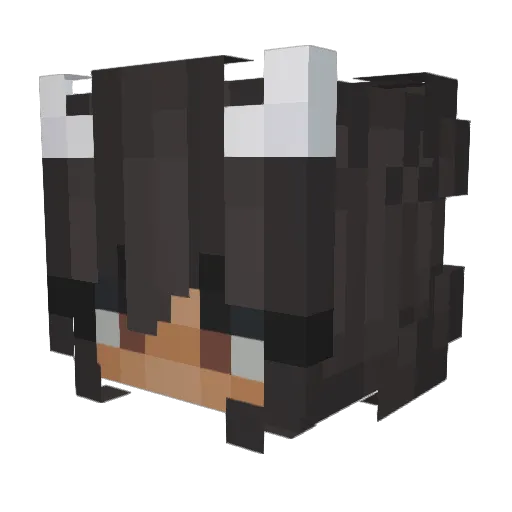 Xilleosins Minecraft avatar head, 3D render