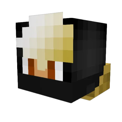XilverGecko Minecraft avatar head, 3D render