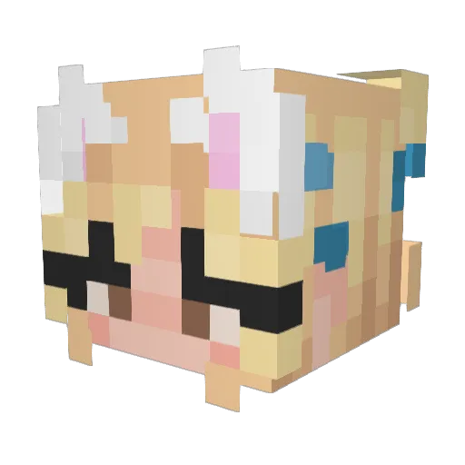 Ximemss16 Minecraft avatar head, 3D render