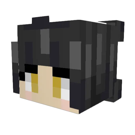 Ximenoid3 Minecraft avatar head, 3D render