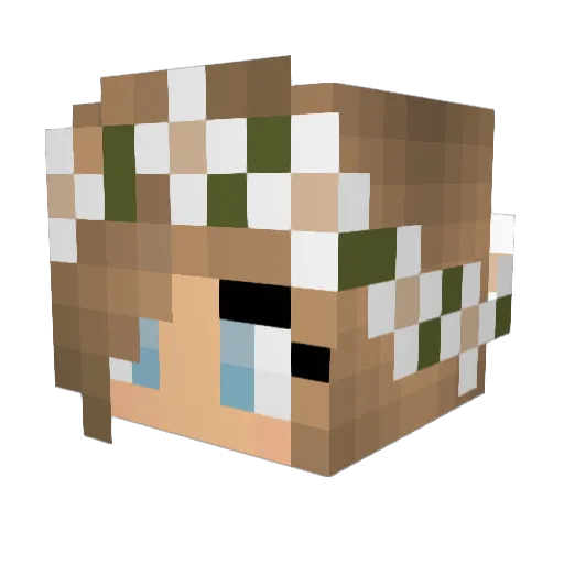 XinRonGJI Minecraft avatar head, 3D render