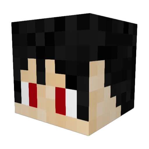 Xinafus Minecraft avatar head, 3D render