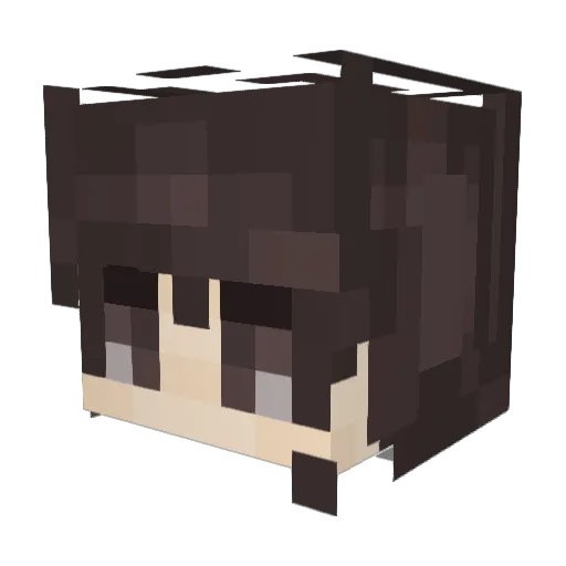 Xinef17 Minecraft avatar head, 3D render