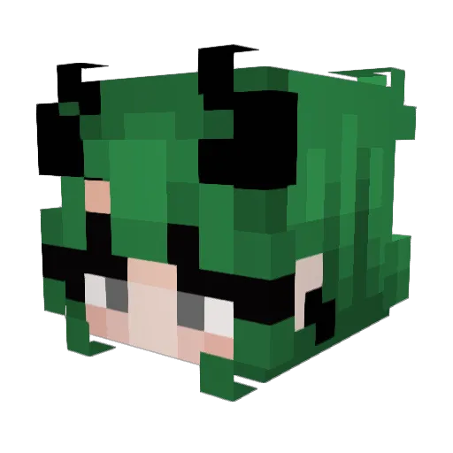 Xio107 Minecraft avatar head, 3D render