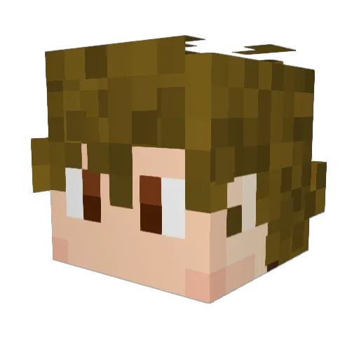 Xio75 Minecraft avatar head, 3D render