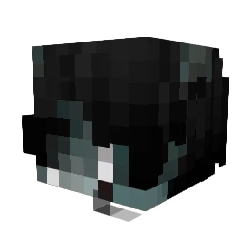Xio_777 Minecraft avatar head, 3D render