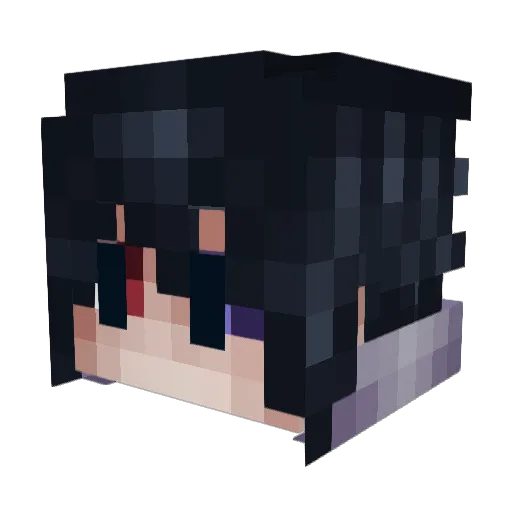 Xioa6 Minecraft avatar head, 3D render