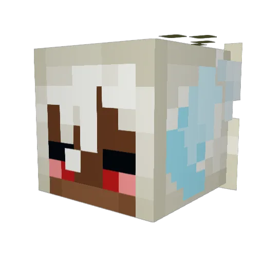 Xioa_morax Minecraft avatar head, 3D render
