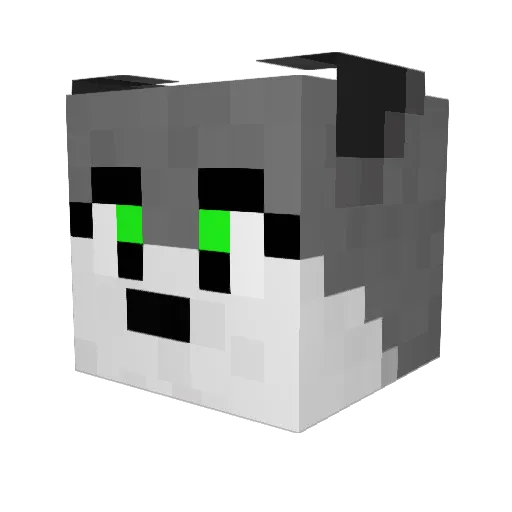 Xiomo_Mogo Minecraft avatar head, 3D render
