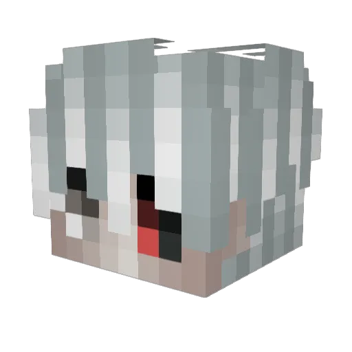 Xion4Seen Minecraft avatar head, 3D render