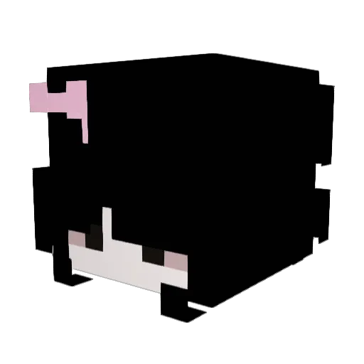 XionicCPVP Minecraft avatar head, 3D render