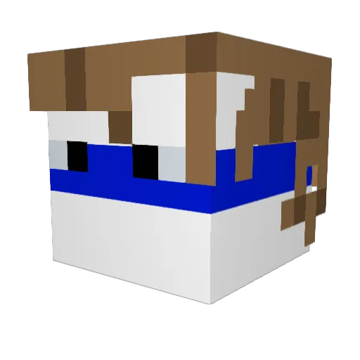 Xionix10 Minecraft avatar head, 3D render