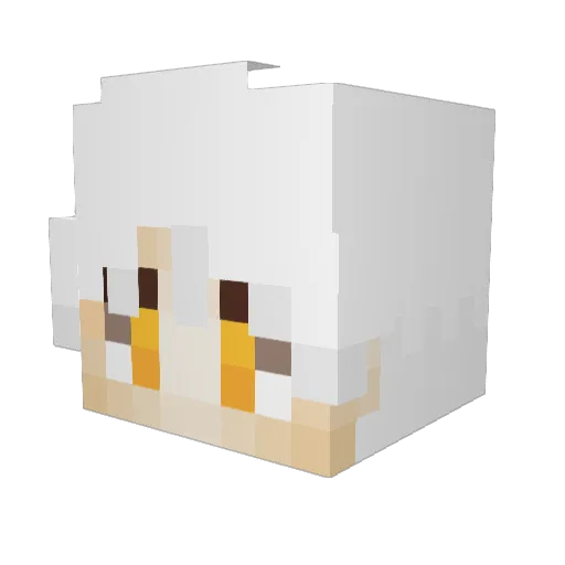 Xiorby Minecraft avatar head, 3D render