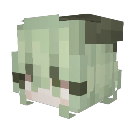 Xiorcal911 Minecraft avatar head, 3D render