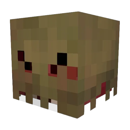 Xiori198 Minecraft avatar head, 3D render