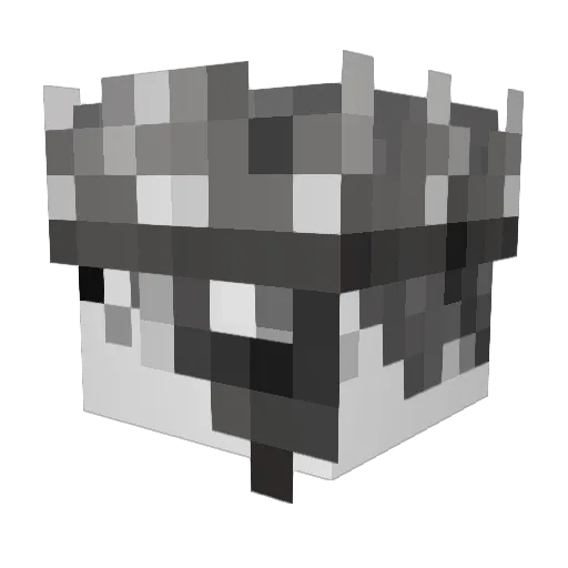 Xiper98 Minecraft avatar head, 3D render