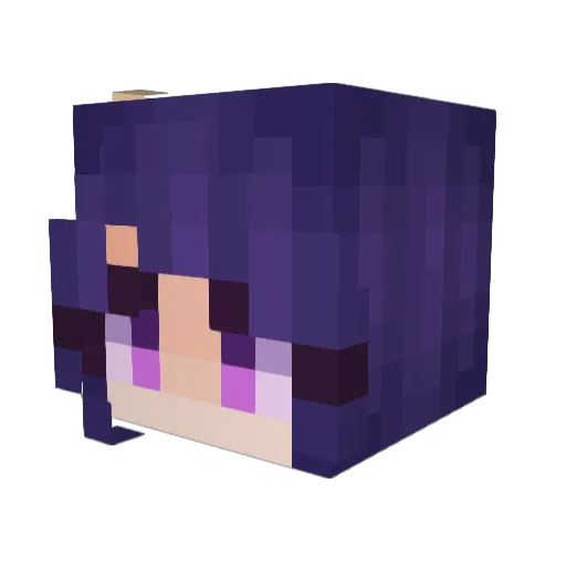 Xiradorn Minecraft avatar head, 3D render