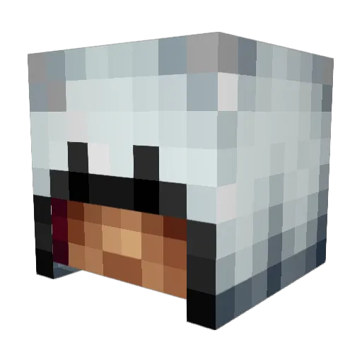 Xirafu Minecraft avatar head, 3D render