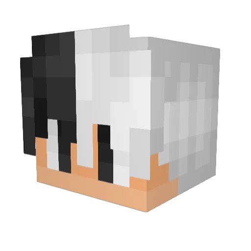 Xirenated Minecraft avatar head, 3D render