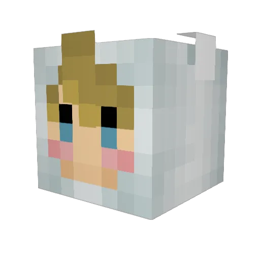 XitoOcoelho Minecraft avatar head, 3D render