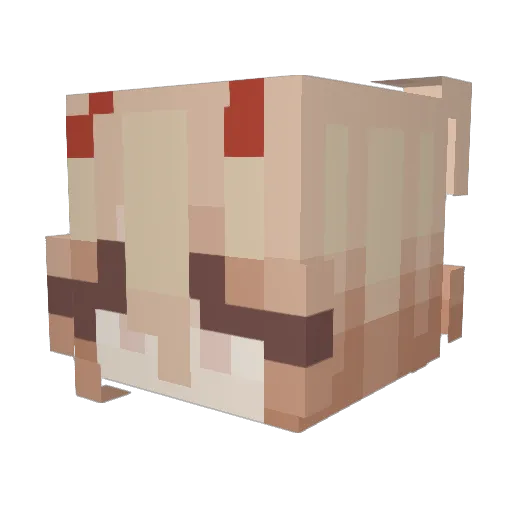 XiuMao_ Minecraft avatar head, 3D render