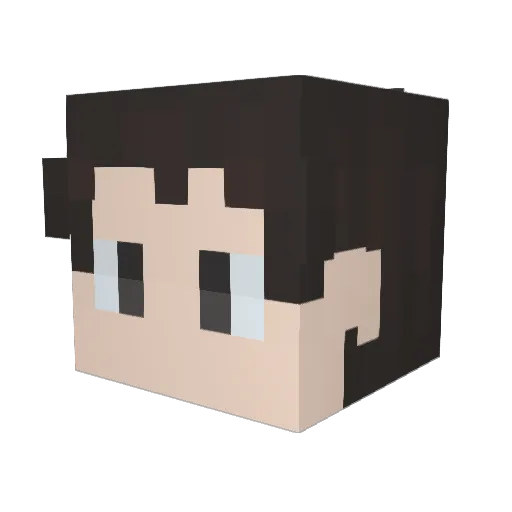 Xiwokartt Minecraft avatar head, 3D render