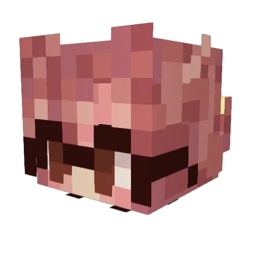 Xixi006 Minecraft avatar head, 3D render