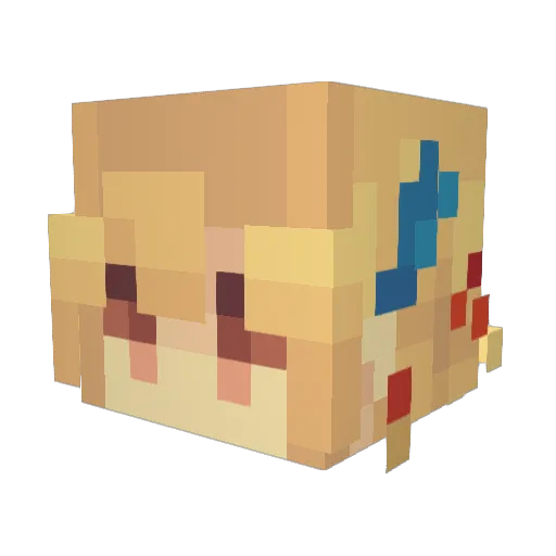 Xixi019 Minecraft avatar head, 3D render