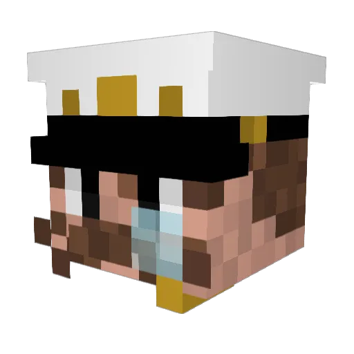 Xiyler Minecraft avatar head, 3D render