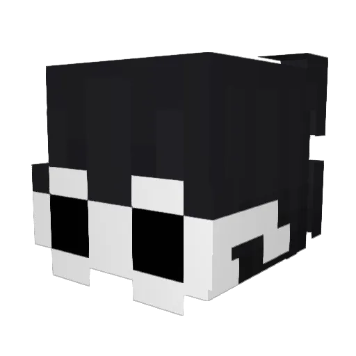 XjOrDiii Minecraft avatar head, 3D render