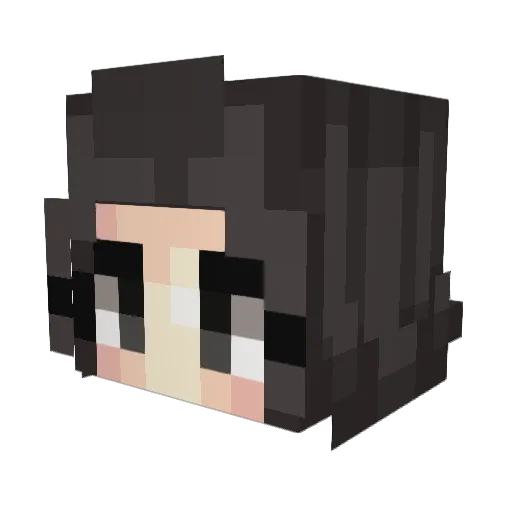 Xjnine Minecraft avatar head, 3D render
