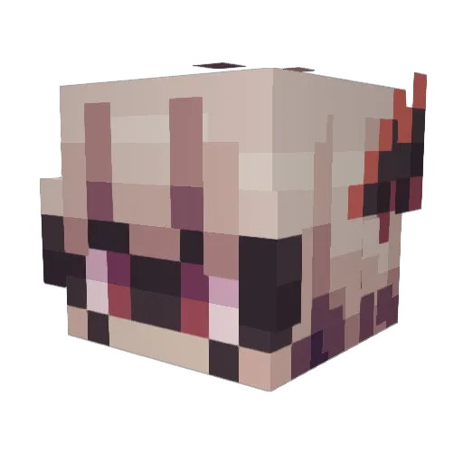 Xkiarax02 Minecraft avatar head, 3D render
