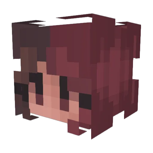 Xkit420x Minecraft avatar head, 3D render
