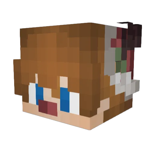 Xkraltr15 Minecraft avatar head, 3D render