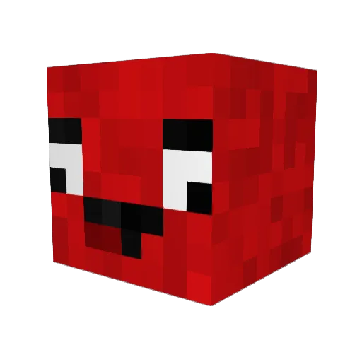 XleoLP Minecraft avatar head, 3D render