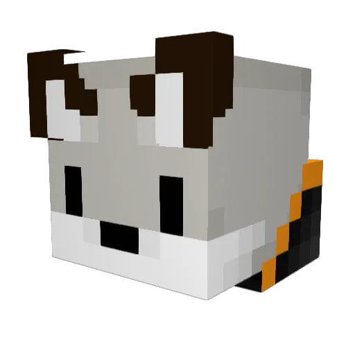Xlhenrick06X Minecraft avatar head, 3D render