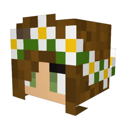 Xliesjexx Minecraft avatar head, 3D render
