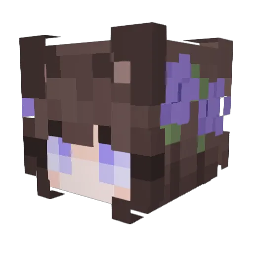 XlolX01 Minecraft avatar head, 3D render