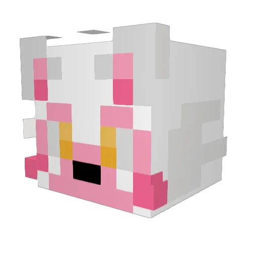 Xman1107 Minecraft avatar head, 3D render