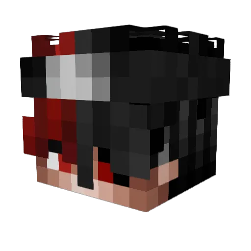 XnicosgoX Minecraft avatar head, 3D render