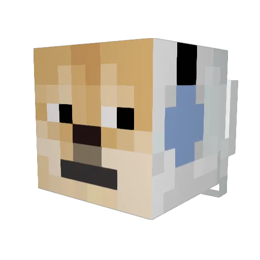 XnikodemX Minecraft avatar head, 3D render