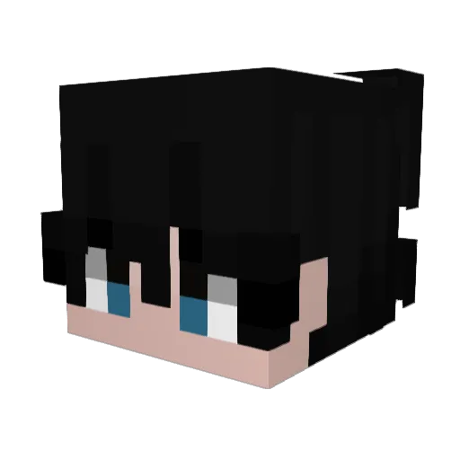 XninjaX1312 Minecraft avatar head, 3D render