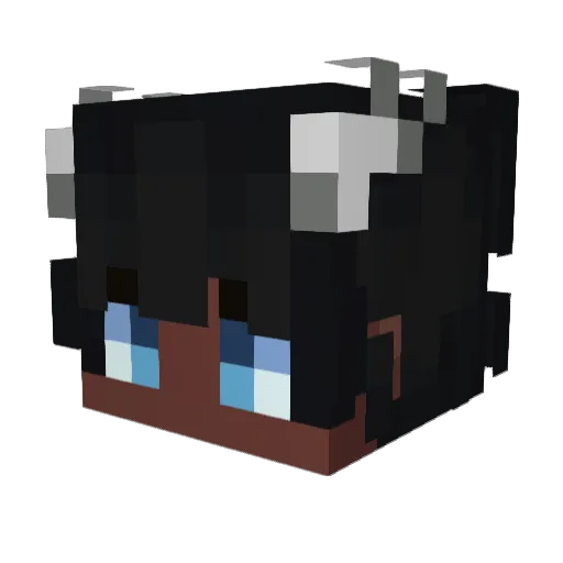 XnoCry4347 Minecraft avatar head, 3D render