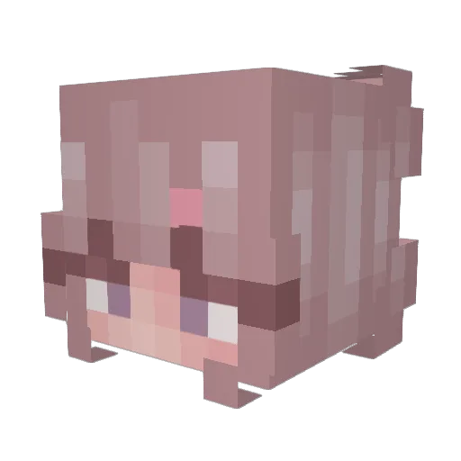 XoXoStarzz Minecraft avatar head, 3D render