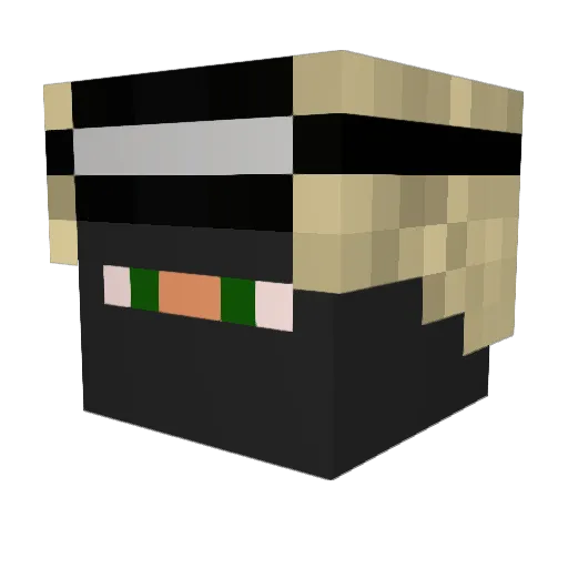 Xoarax Minecraft avatar head, 3D render