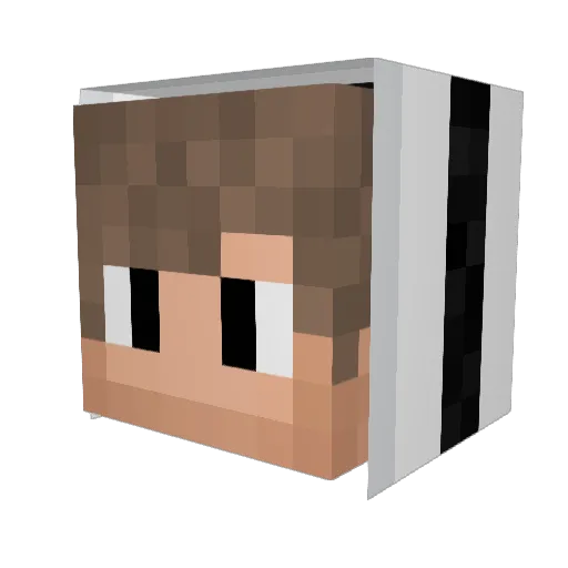Xodeus Minecraft avatar head, 3D render