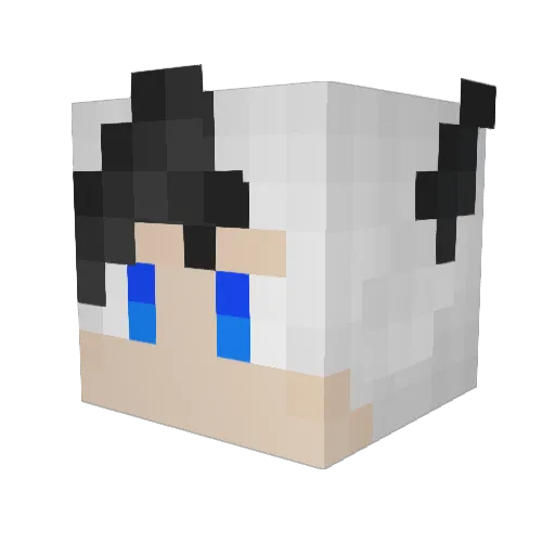 Xolife Minecraft avatar head, 3D render