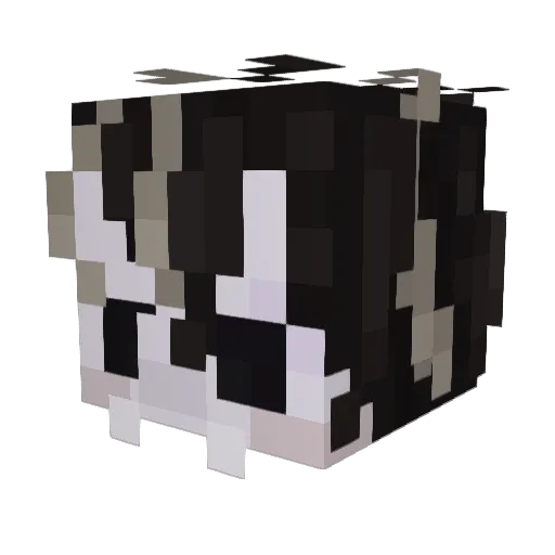 Xollan Minecraft avatar head, 3D render